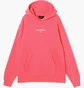 Худи мужское Air Jordan Wordmark Tokyo Fleece Pink FZ1172-629