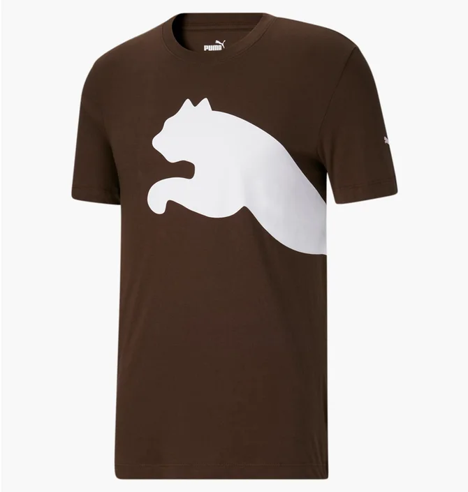 Футболка мужская Puma Oversized Logo Tee Brown 588544-63