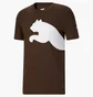 Футболка мужская Puma Oversized Logo Tee Brown 588544-63