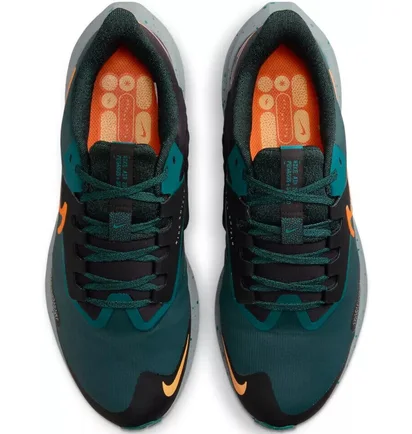 Кросівки чоловічі Nike Pegasus 39 Shield Weatherised Road Running Shoes Turquoise DO7625-300