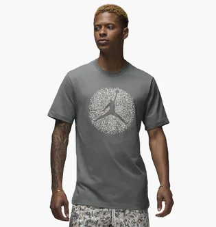 Футболка мужская Air Jordan M J Flt Ess Pool Ss Crew Grey FN6006-084