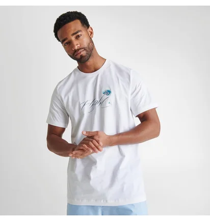 Футболка чоловіча Air Jordan Metallic Spring Graphic T-Shirt White Dv8418-100