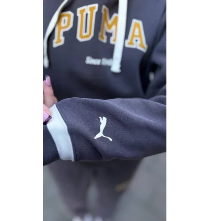 Спортивный костюм женский Puma WomenS Sports Suit Grey 692674-13__692668-13