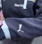 Спортивный костюм женский Puma WomenS Sports Suit Grey 692674-13__692668-13