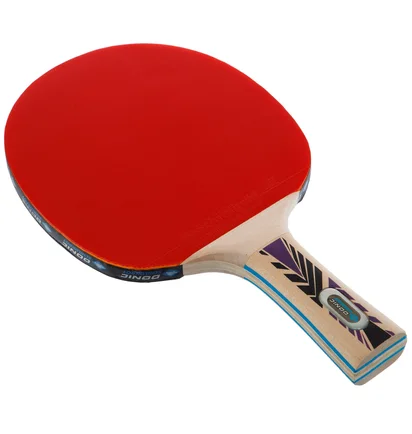 Ракетка для настольного тенниса Donic Legends 800 Fsc Black/Red 754425