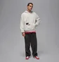 Худи мужское Air Jordan Brooklyn Grey IM7943-050