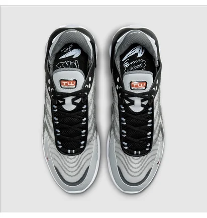 Кроссовки мужские Nike Air Max Tw Grey DQ3984-004