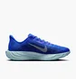 Кросівки чоловічі Nike Pegasus Plus Prm Blue HQ1719-400