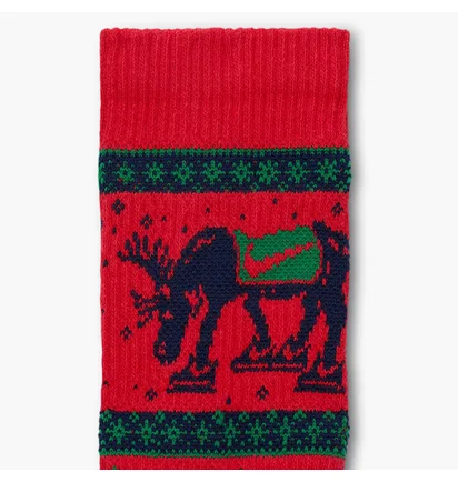 Носки Nike Everyday Plush Cushioned Winter Wonderland (2 пары) Multi HV6939-900