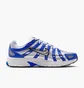 Кросівки чоловічі Nike P-6000 Metallic/Blue CD6404-403