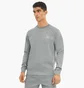 Свитшот мужской Puma Classics Tech Crew Grey 53077903