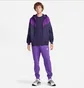 Футболка чоловіча Nike Sportswear Premium Essentials Violet DO7392-555