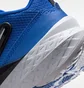 Кросівки дитячі Nike Team Hustle D 12 (Ps) Blue HF6280-400