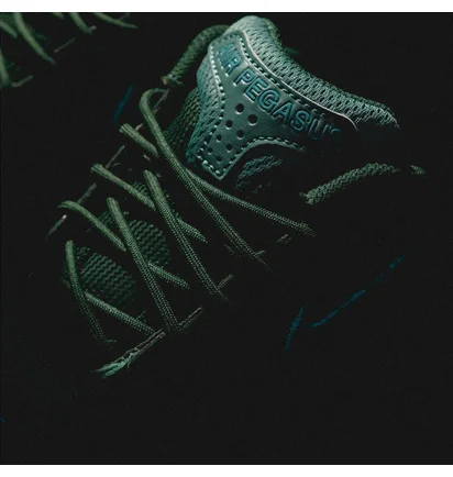 Кросівки чоловічі Nike Air Pegasus 2005 Green FZ7354-300