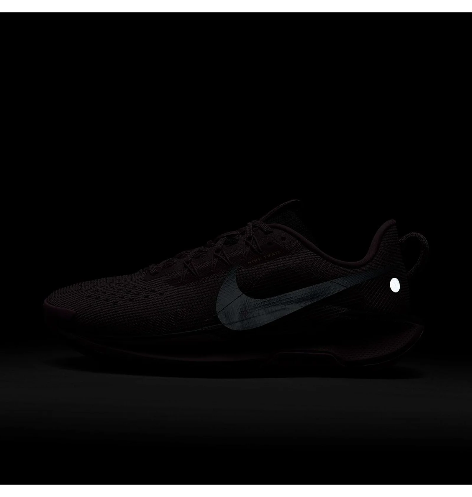 ᐉ Кросівки жіночі Nike Pegasus Trail 5 Gtx Pink/Violet DV3865-500