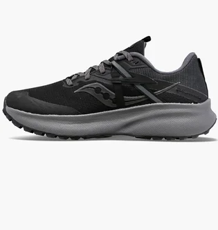 Кроссовки мужские Saucony Ride 15 Tr Gtx Black S10799-10