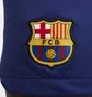 Шорты мужские Nike Dri-Fit Fc Barcelona Stadium 2023/24 Blue DX2709-455