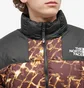 Пуховик чоловічий The North Face Lhotse Jacket Brown NF0A3Y23OS3