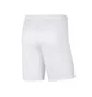 Шорти дитячі Nike Park Iii White BV6865-103