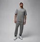 Футболка мужская Air Jordan Flt Essential 85 Ss Crew Grey FZ1912-091