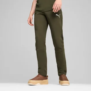 Штани чоловічі Puma Evostripe Olive 681702-70