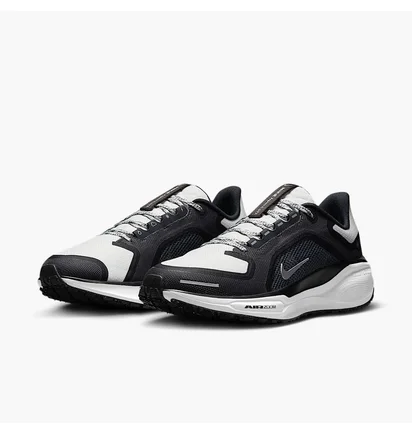 Кроссовки женские Nike Pegasus Gore-Tex Black/Grey FQ1357-002