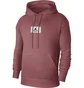 Худи мужское Air Jordan Essentials Brown DA9816-691