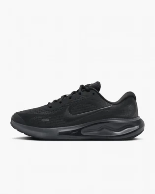 Кроссовки женские Nike Journey Run Black FJ7765-002
