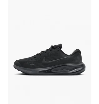 Кроссовки женские Nike Journey Run Black FJ7765-002