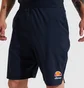 Шорты мужские Ellesse Vivaldi Short Blue SXG09889-429