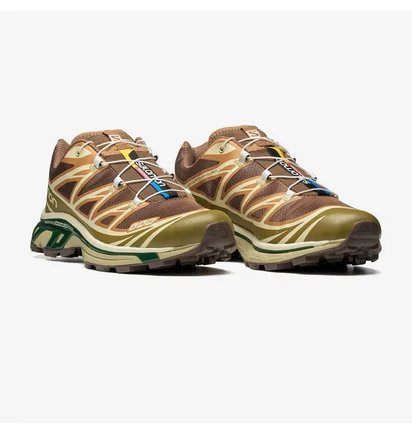 Кроссовки мужские Salomon Xt-6 Brown L47136100