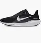 Кросівки чоловічі Nike Pegasus 41 Black FD2722-002