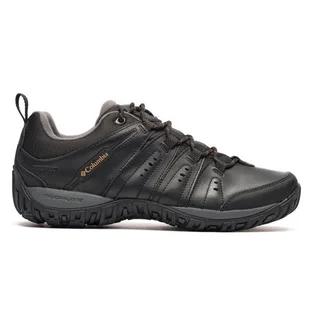 Кросівки чоловічі Columbia Woodburn™ Ii Waterproof Black 1553001010