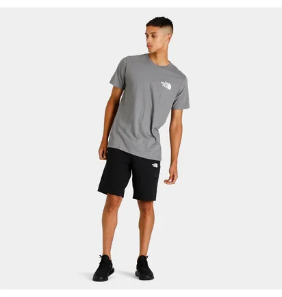 Футболка мужская The North Face Box Nse Tee Grey NF0A4763GVD