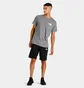 Футболка мужская The North Face Box Nse Tee Grey NF0A4763GVD