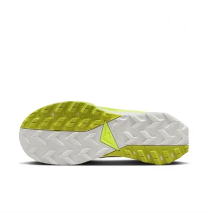 Кросівки жіночі Nike Wildhorse 8 Green DR2689-300