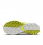 Кросівки жіночі Nike Wildhorse 8 Green DR2689-300
