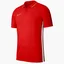 Поло мужское Nike Dry Academy 19 Red Bq1496-657