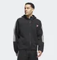 Толстовка мужская Adidas Trae Young Tech Jacket Black IL1617