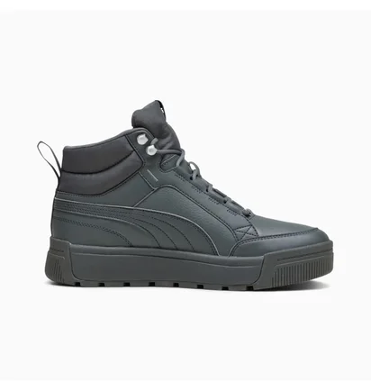 Кроссовки мужские Puma Tarrenz Sb Iii Grey 392628-03