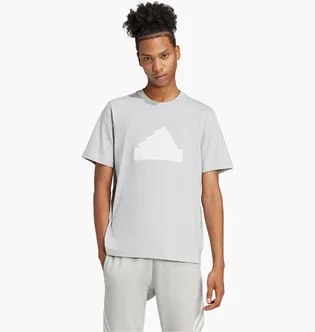 Футболка чоловіча Adidas Future Icons Badge Of Sport T-Shirt Grey IY4283