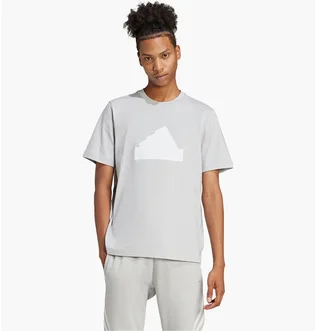 Футболка чоловіча Adidas Future Icons Badge Of Sport T-Shirt Grey IY4283