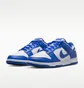 Кросівки чоловічі Nike Dunk Low Blue/White HF5441-112