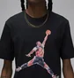 Футболка мужская Air Jordan Jumpman Watercolor Short Sleeve Shirt Black FN5980-010