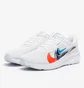 Кроссовки мужские Nike Pegasus 40 Premium White FB7179-100