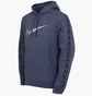 Худи мужское Nike M Nsw Repeat Sw Flc Po Hood Bb Blue Dx2028-437