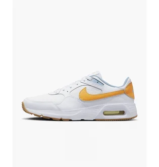 Кросівки чоловічі Nike Air Max Sc Shoes White FJ3997-100