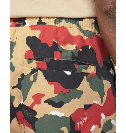 Штани чоловічі Air Jordan Flight Heritage Camo/Multi DC7450-246