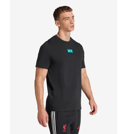 Футболка мужская Adidas Lfc Szn Gr Black JW7903