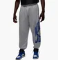 Штани чоловічі Air Jordan Brk Cllgte Hbr Grey HV0091-051